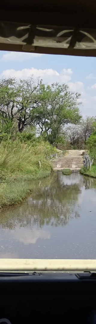 Third Bridge, Moremi